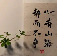 用心生活。抓住喜歡。配圖