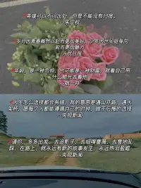 文字里溫暖且治愈配圖