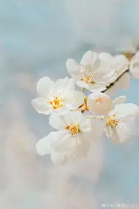 你若心里有光
那便日子滾燙
你若一路向陽
那便總有不期而遇的溫暖
你若努力向前生命便終有歸途
????配圖