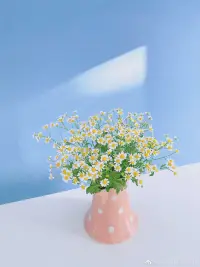 你若心里有光
那便日子滾燙
你若一路向陽
那便總有不期而遇的溫暖
你若努力向前生命便終有歸途
????配圖