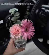 見過花開的人，便會懂得風的溫柔……配圖