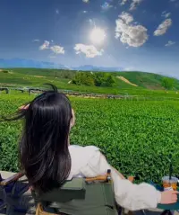 致自己

當(dāng)你能量越來越高時，
你開始真正理解每一個人，
沒有好壞，沒有對錯，
只是他處在不同的能量頻率，
呈現(xiàn)出不同的狀態(tài)，
做了不同的選擇。

言慢者貴，性柔者富，德厚者旺。

請允許自己做自己，
也允許別人做別人，
你會活的更灑脫。配圖