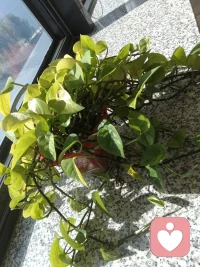 人际关系吸引的4项原因开启你的亲密关系让你能更好的获得先机。1-.时空接近性。指就是你的同学圈，朋友圈。能让你更好的近水楼台先得月。2-相似性和互补性。每个人都是爱自己的。你和他或她有更多的相同和相似性。能更好的取长补短各自发挥彼此特长达到更好的结果，1＋1大于2。3-自我暴露。能自我暴露的人更具吸引力。4-外貌吸引。一个人以整洁清爽的面目视人更具吸引力。