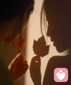 慕顏【婚戀情感】