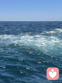 辽阔的大海，包容万千风浪
亦能容纳所有委屈与不甘
不必困于眼前的阴霾
心向辽阔，自有山海
熬过风雨，终会海阔天空🌊