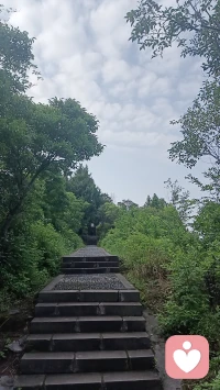 每天晨起爬山打卡，山间风景治愈人心，日子慢慢过就好✨️