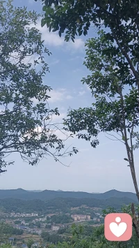 每天晨起爬山打卡，山间风景治愈人心，日子慢慢过就好✨️