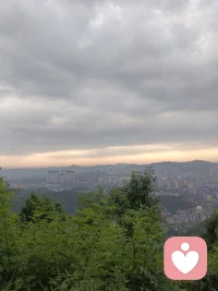 早安☀️
放眼望去，满眼生机盎然，耳边伴着声声鸟鸣。
每天都能看见不一样的风景，人生亦是如此。
不必总是步履匆匆，偶尔慢一点，静下心来，
就能发现生活里更多被忽略的温柔与美好。