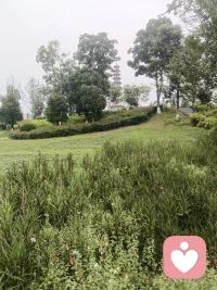 每天坚持早起，或爬山、或快走、或慢跑，满眼鲜活绿意，耳边悦耳鸟鸣。清晨独有的生机，总能抚平内心浮躁，早安。配图