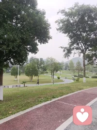 每天坚持早起，或爬山、或快走、或慢跑，满眼鲜活绿意，耳边悦耳鸟鸣。清晨独有的生机，总能抚平内心浮躁，早安。配图