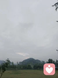 每天坚持早起，或爬山、或快走、或慢跑，满眼鲜活绿意，耳边悦耳鸟鸣。清晨独有的生机，总能抚平内心浮躁，早安。配图
