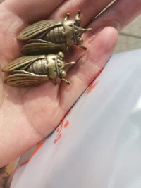 致失去的他，今天突然翻起過去的照片，里面記錄了點點滴滴，送出去的平安福，他曾經一直會每時每刻帶在身邊，未送出去的嬋，如今也丟了一只，只有一只了。曾經他送的鮮花也就如果我們的愛情枯萎了，不是不愛，而是愛的太辛苦了，太累了，選擇放棄是也是最后彼此可以給彼此的。祝天下相遇的二個人人，相愛，彼此珍惜遇見的時光，如果不能在一起，也感謝彼此曾經出現在我們的生命里，時刻充滿感恩，謝謝他或她的陪伴。配圖