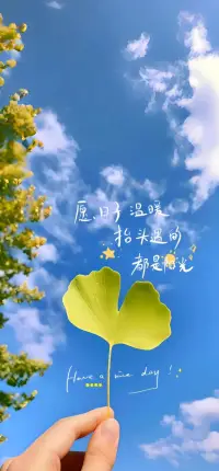 以下是一些情感疗愈的温暖建议：

1. 接纳自己的情绪：无论是悲伤、愤怒还是焦虑，都要允许自己感受这些情绪，不要压抑或否定它们，因为它们都是正常的情感反应。

2. 与他人分享：找一个信任的朋友、家人或心理医生，倾诉自己的内心感受。把情感说出来，不仅能释放压力，还能从他人那里获得不同的视角和支持。

3. 写日记：将内心的想法和情绪以文字的形式记录下来，这有助于自己梳理思绪，更好地理解自己的感受，同时也是一种情感的宣泄方式。

4. 接触大自然：花时间在户外，散步、欣赏风景或者只是坐在公园的长椅上。大自然的宁静与美丽能抚慰心灵，减轻焦虑和压力。

5. 进行身体锻炼：运动可以促进身体分泌内啡肽等神经递质，这些物质有助于改善心情，减轻抑郁和焦虑症状，让人感到轻松和愉悦。

6. 培养兴趣爱好：投入到自己喜欢的活动中，如绘画、音乐、阅读、烹饪等，能够让自己专注于当下，忘却烦恼，带来成就感和快乐。

7. 设定合理目标：为自己设定一些切实可行的小目标，当完成这些目标时，能增强自信心和自我价值感，帮助修复受伤的情感。

8. 学会放松：尝试一些放松技巧，如深呼吸、冥想、渐进性肌肉松弛等，这些方法可以帮助身体和大脑进入放松状态，缓解紧张情绪。

9. 保持良好的生活习惯：规律的作息、健康的饮食和充足的睡眠对情感疗愈至关重要，它们有助于维持身体和心理的健康状态。

10. 给予自己时间：情感疗愈是一个过程，不要急于求成，要相信自己有足够的能力和时间去慢慢恢复，对自己保持耐心和善意。配图