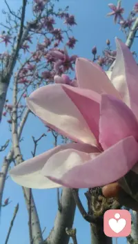 有時(shí)候心里煩，莫名的煩，不知道為什么，其實(shí)每次的煩都是有原因的，只不過有的容易發(fā)現(xiàn)，有的是潛意識的不被察覺，有的時(shí)候陷入深深的情緒的漩渦，當(dāng)局者迷，真的需要別人拉我們一把配圖