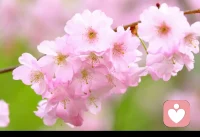 苦難是一把雙韌劍，勇敢的直面自己的內(nèi)心，與自己和解，改變是痛苦的過程，但改變之后會獲得重生。配圖