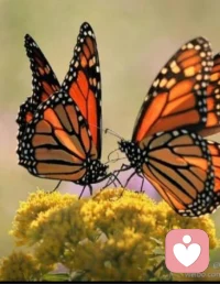 夫妻之間，時間長了，會慢慢的變為親情，沒有了昔日的浪漫，對對方的包容也會越來越少，以前對方為自己做事情會感動，也愿意為對方做很多事情，現在一切都變得理所當然和應該，爭吵，家庭瑣事意見不和，另一過于強勢，都是引發夫妻矛盾的源頭…配圖