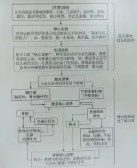 從認(rèn)知行為角度看低自尊！
        低自尊的核心是負(fù)面自我信念。負(fù)面自我信念看 上去像事實(shí)陳述，就像你的身高、體重及住址等事實(shí)一樣。身高、體重及地址等事實(shí)陳述無可辯駁，其真實(shí)性也很容易由你或別人檢驗(yàn)和驗(yàn)證，除非你撒謊（例如，你不希望別人知道你住的城區(qū)不太好），或者你掌握信息不足，無法給出準(zhǔn)確描述（例如，你剛搬家，還記不住新的住址）。
        我們對(duì)自己的判斷，以及我們賦予自己作為人的價(jià)值卻與此不同。你對(duì)自己的看法，即你的自尊，是一種習(xí)得的觀點(diǎn)，而非事實(shí)。而觀點(diǎn)有可能出錯(cuò)、有所偏差或者不準(zhǔn)確，甚至，明顯就是錯(cuò)的。你對(duì)自己的看法，是你人生經(jīng)歷的反映。如果你的經(jīng)歷主要是積極正面的，那么你對(duì)自己的看法可能同樣積極正面。相反，如果，你的人生經(jīng)歷主要是負(fù)面和破壞性的，那么你對(duì)自己的看法可能同樣負(fù)面且具破壞性。配圖