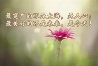 找到一個與自己匹配的精神分析取向的咨詢師是不容易的，長程的咨詢更會帶來長久的效果！！！配圖