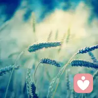 人要想讓自己的一生過得快樂和幸福，就必須記住該記住的，忘記該忘記的，改變能改變的，接受不能夠改變的。這不僅是一種胸懷，更是一種境界配圖