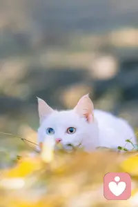 没有烦恼不要惹烦恼，有了则尽量解决它。配图