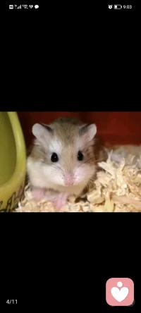 無(wú)論你多么討厭你的學(xué)校，當(dāng)你離開(kāi)久了，你還是會(huì)想念它。配圖