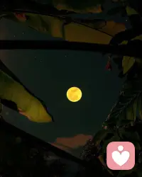 当我们内在越分裂，我们就会活的很拧巴很别扭，甚至身边的人会常常觉得你很莫名其妙，神神经经，好好的就生气，感觉你阴晴不定。这个就是我们俗话说的作。配图