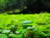 ＂愛(ài)自己，是親密關(guān)系變好的開(kāi)始＂希望姐妹們大膽地愛(ài)自己，活出自己喜歡的樣子，愿女人們都美好如花。配圖