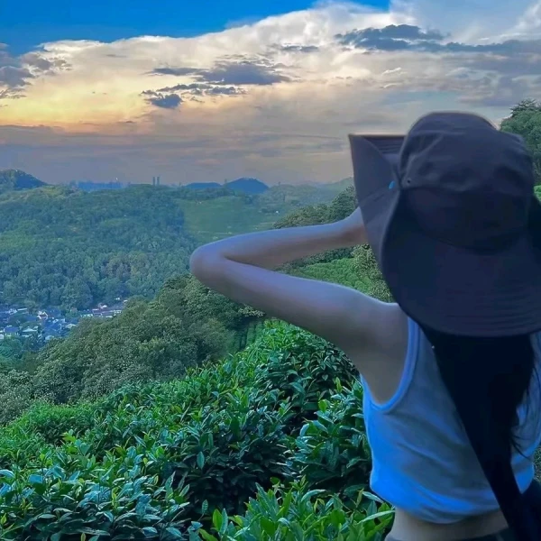 树洞话事