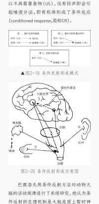 什么樣的關(guān)系是圓滿的?
伴侶???????????之間，親密且獨立??
家人???????????之間，依賴且尊重??
親子????之間，信任且允許????
伙伴??之間，支持且理性??配圖
