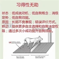 不要去羡慕任何人；踏踏实实做好自己；后来的你，一定会感谢那些伤害过你的人。生活不止眼前的苟且还有诗和远方