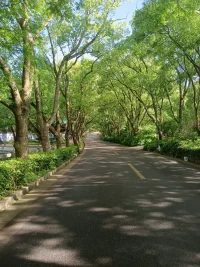 車的啟動(dòng)，要一腳油門；
人的啟動(dòng)，要一念生信。

不是什么事情都可以順其自然，
“我要”這一念，是“邏輯”之上的“意向”，
超越邏輯的事情，怎么等得到合情合理的時(shí)候呢？

意向，在“0”，
邏輯，從“1”開始。
讓邏輯，跟著意向，邏輯才有方向。

邏輯是個(gè)很好的打工仔，意向才是老板；
老板不需要合理，只需要永遠(yuǎn)有動(dòng)力。配圖