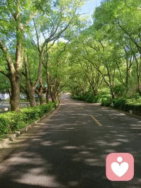 失敗，是告別過往的“正確”；
?失敗感，是假設別人如何評價這場告別。
?
?任何一個低谷，其實是個好機會，代謝掉原來強勢的元素，激活新的力量。
?不滅的生命力，需要不斷生滅的外在形態，才能生生不息。
?
?花朵不愿凋謝，就無法醞釀果實；果實不能腐爛，也無法暴露種子；沒有什么是成或壞，都只在形態轉化中，只要有生命力在驅動。
?
?配圖