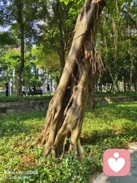 區(qū)分一下彈性與立場：
假的彈性，因為自己沒有底氣，所以在關(guān)系上總要給別人留有余地；真的彈性，因為內(nèi)在核心明確，所以在外在形式上可以無限周轉(zhuǎn)。
假的立場，因為內(nèi)在的不確定，所以不允許外在的質(zhì)疑，沒有商量的余地；真的立場，因為主題明確，所以能夠在不斷的變化與偏離中，回到軸心。
所以立場與彈性，是一體的，是內(nèi)在的重心和外在的活力。所以你不會看見一只失衡的球，因為它的重心在“里面”，所以它會對外在環(huán)境各種遷就，但是誰也不能真正令它偏離它的核心。配圖