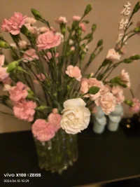 跟原生家庭的關系，一定會影響到我們的心智，所以父母練習是我們在自我修為過程中必經的練習。

但這個過程，其實與父母無關。

我們不是去跟“外在的父母”做練習，拿自己的種種模式在父母身上找依據；而是跟自己“內在的父母”去做練習，也就是意識到我在跟父母關系里形成的心智模式。

我們是跟自己的模式和解，跟模式里被阻礙了的自己和解；當我們對自己有了不一樣的體驗，
我們也就和解了跟父母的關系。

那個時候，你愿意去跟外在的父母分享也是OK的，但不必刻意去找父母做練習，會嚇壞他們[笑臉]配圖