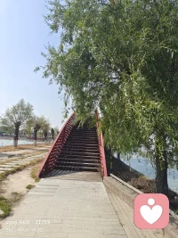 我們不可能一下子變得優秀，不可能一下子就減掉肥肉，也不可能一下子就培養出一個好習慣。你會發現，任何事情都需要一個過程，這個過程是你成長進步的一部分。所以不要著急去期待那個結果，因為你只要認真對待這個過程，你期待的那個結果一定不會差的。人生這條路很長，不必躊躇于過去的半畝方塘，那些所謂的遺憾，可能是一種成長；那些曾受過的傷，終會化作光，照亮前方的路。總有一天你會明白，真正治愈你的從來都不是時間，而是你心里的那份釋懷與格局。只要你的內心不慌亂，世界很難影響你！配圖