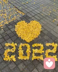 立冬了，飄來一份牽掛，惦念你；捎來一份關(guān)懷，愿你立冬安好。配圖