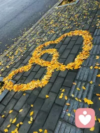 甭管和誰往來，心里要有一桿秤，感情，要雙向奔赴；付出，要彼此認同；給與，要對方值得！配圖