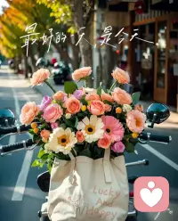 我们都喜欢明媚  
但有时也得接受世界的破碎  
像月亮的圆缺 如花开花落

我们都向往美好  
但有时也得面对人生的烦恼  
像四季的轮转 如草木荣枯

我们都期待圆满  
但有时也得忍耐现实的残缺  
像昼夜的交替 如光影相随
​