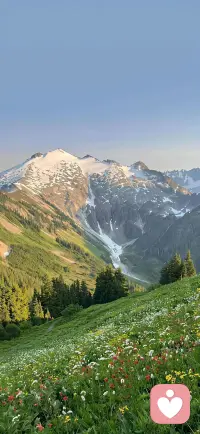 人生
就是聚聚散散，
有些人，有些事，
可遇不可求，
强求只有痛苦，
留不住就放手，
顺其自然，随缘起缘落。

世上最好的放生，
就是放过自己，
不要和往事过不去，
因为它已经过去；
不要和现实过不去，
因为你还要过下去。

在这个纷杂的世界里，
缘起缘散，
皆是最好的拥有，
因为命运的安排，
总是不尽人意，
人要习惯了去接受。

来者要惜，去者要放，
一念花开，一念花落，
走不出自己的执念，
到哪里都是牢狱。
看透，看开，看淡。配图