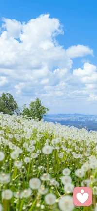 親愛的，你要相信，夜的前方就是黎明配圖