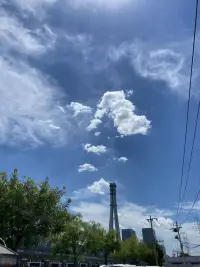 這個世界上，做自己就好，沒必要實時事事都要對別人解釋，問心無愧，不傷及他人就好！配圖