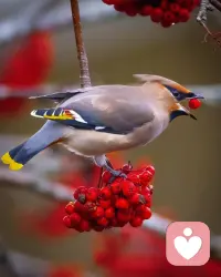 又是新的一天，祝各位好運連連，都有好心情，迪楹已在線，有心事找迪楹哦(?????)配圖