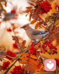 又是新的一天，祝各位好運連連，都有好心情，迪楹已在線，有心事找迪楹哦(?????)配圖