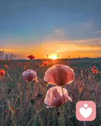 如果你感覺和伴侶之間有了隔閡，請問問自己，是什么感覺讓你想與對方保持距離的。直覺會指引你找到最佳答案。隔閡通常源于一無是處、被人遺棄、失落和失望（有時候像是遭到背叛）的感覺，但你可能會體會到更深的感受，比如孤獨、心碎、一無是處、缺乏目標、嫉妒、絕望、無力和無助…配圖