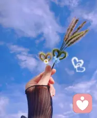 屈從于憤怒，是為他人的罪過向自己復仇，煩惱是心智的沉溺，清醒是唯一的出口～配圖