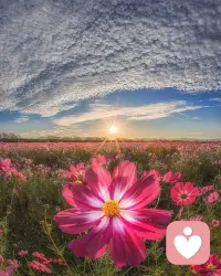 自己不是人民幣，也不可能人人喜歡，做自己就好，別一直待在痛苦的漩渦里，走出去，看看外面的世界也許有驚喜在等你…配圖