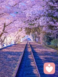 忘記昨天的不快，帶上好心情重新出發！配圖