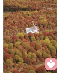 生活给你的每一个坎，都有其用意。既然走在路上，脚步就一定要坚定。也许这一刻你看不清前路， 但只要有所期待、有所热爱，保持前进的勇气和力量，你想要的东西终有一天会向你奔来！配图