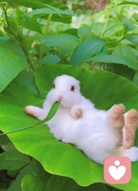 在大海的彼端，一定會有空濛的彼岸，做最溫柔的夢，盛滿世間的行色匆匆。配圖