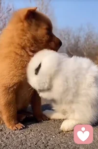 發(fā)光不是太陽的權(quán)利，每個人都可以熬過最苦的日子，去做最酷的自己。配圖